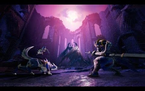 モンハンライズ　少しやる