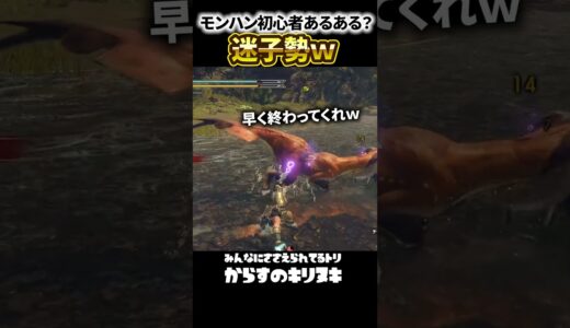 迷子になるのはモンハンあるあるよね？/モンスターハンターライズ