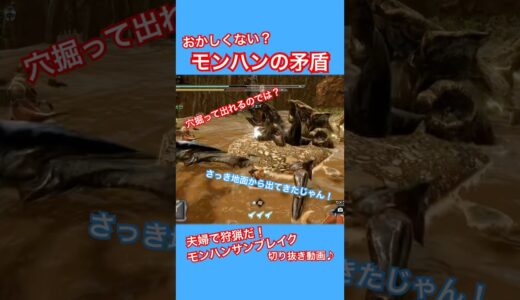 落とし穴の矛盾 #ゲーム実況 #モンハン #モンハンライズサンブレイク