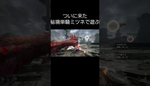 秘境単騎ミツネで遊ぼう【モンハンライズサンブレイク】