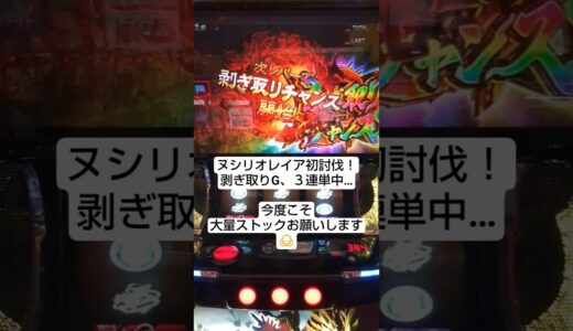 モンハンライズ　ヌシリオレイア初討伐　#スマスロ　#モンハンライズ 　#パチスロ