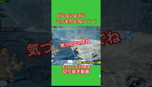 こっそり研ぐのはモンハンあるある？ #モンハン #ゲーム実況 #モンハンライズ