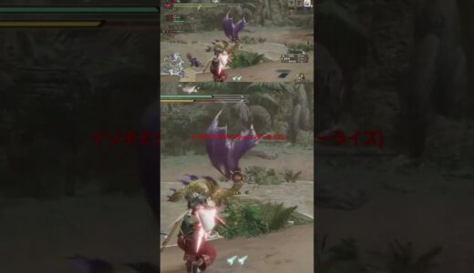 イソネミクニ(モンスターハンターライズ)#モンスターハンターライズ