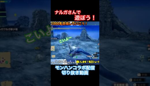 ナルガさんで遊ぼう! #モンハン #ゲーム実況 #モンハンライズ