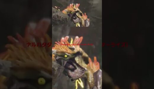 ナルハタタヒメ(モンスターハンターライズ)#モンスターハンターライズ