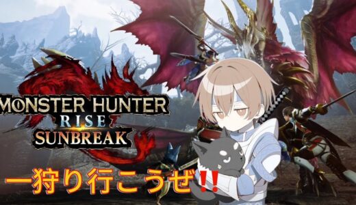 [MHSB]参加型モンスターハンターライズサンブレイクで一狩りいこうぜ！