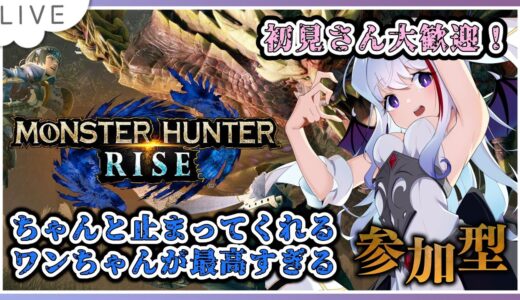 【モンスターハンターライズ】ちゃんと止まってくれるガルクが最高のモンハンやる！【#Vtuber #モンハン  #モンスターハンターライズ #雑談配信  #mhrise 】✨ノンストップ雑談配信 ✨