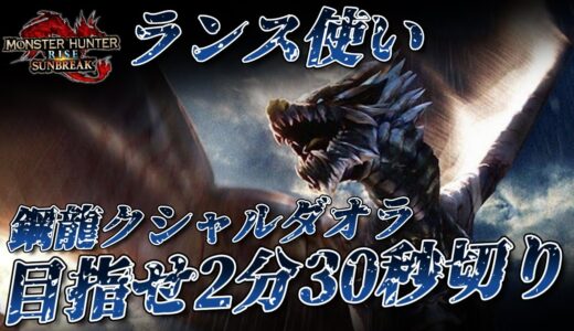 ワイのランス、そろそろ復活してきたかも？【モンハンライズ・サンブレイク】【switch】