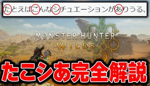 『たこシあ』の真理にたどりついたので解説しつつ改善点を話す【モンハンワイルズ】