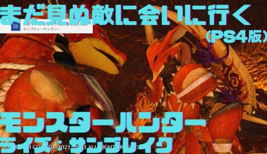 【モンスターハンターライズ：サンブレイク】まだ見ぬ敵に会いに行く
