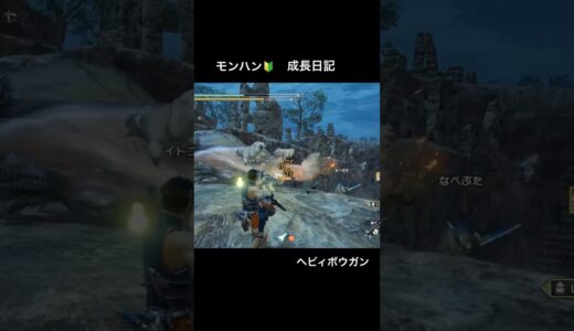 #モンハン #ゲーム実況 #サンブレイク