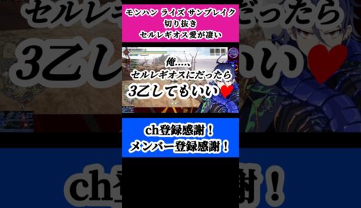【モンハン ライズ / サンブレイク】セルレギオス愛がすごい【プラチナムカデ】
