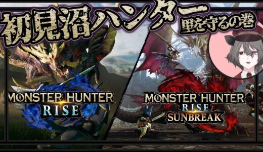 【MH:RISE/SUNBREAK】美人双子姉妹に会えると聞いて Day3【Vtuber】