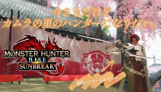 【MHRize】このタイミングだけどカムラの里の双剣ハンターになりたい。その6　 #ナツ　#ゲーム実況  #生放送 #mhrise　#モンハンライズ　【steam版】