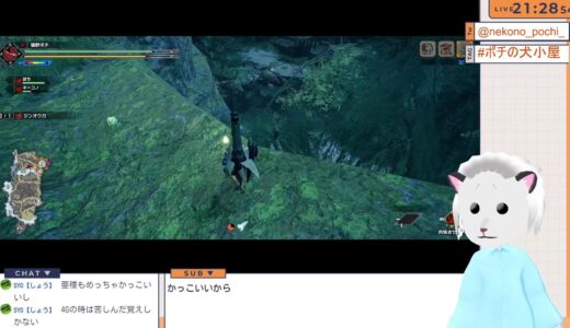 モンハンライズ配信！いろいろ準備したし、またまたサクサクMR目指して！
