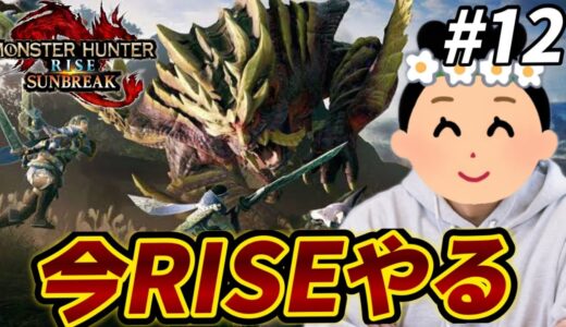 【モンハンライズ】逆張りオタクなので今からRISEを始めます　#12