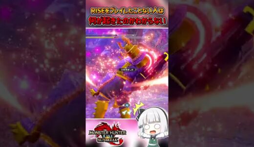 RISEをプレイしたことない人は何が起きたのかわからない動画【モンハンサンブレイク】