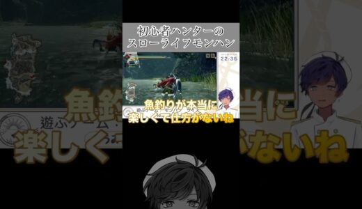 初心者ハンターのスローライフモンハン #モンスターハンターライズ  #VTuber