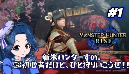 初YouTubeライブやってくよ！！超初心者モンハン練習！【初心者モンハンライズ】