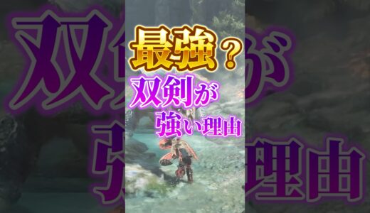 最強？双剣が強い理由【モンハンワイルズ】