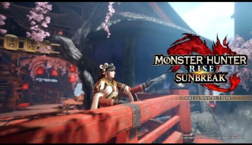 参加型モンスターハンターライズ始めたばかりです！　#参加型　　#周回　#モンハンライズ