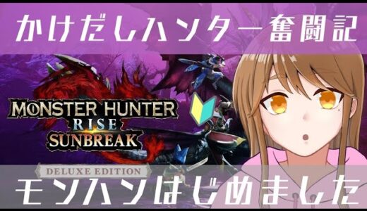 今日も1日おつかれさま！夕活ソロ修行！#モンスターハンターライズ #モンハンサンブレイク #shorts #shortsvideo #縦型配信