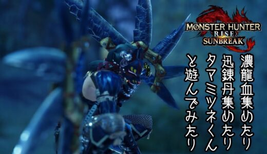 【モンハンライズ】理想の狂化2護石を求め彷徨う哀れなハンター。【サンブレイク】