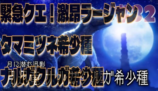 【初見】【ソロ】【雑談】【太刀】モンスターハンターライズ　サンブレイク　#32　初見緊急クエスト！　激昂ラージャン！を初見でスタイリッシュに決める、、、