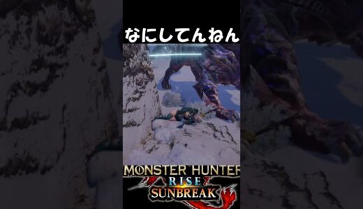 なにしてんねん　　　　　　　　【モンハンサンブレイク】【MHR:SB】魅せプ　#shorts