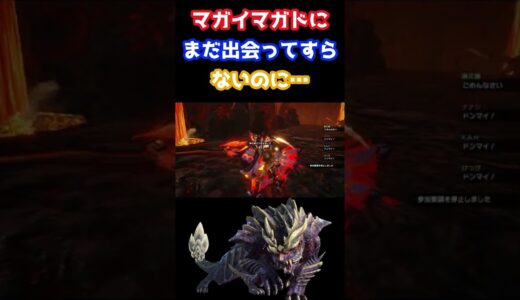 マガイマガドにまだ出会ってすらないのに…【モンスターハンターライズ】【MHRise】