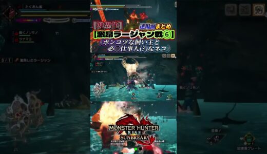 《迷場面まとめ》「ポンコツな飼い主と必〇仕事人なネコ」傀異化激昂ラージャン戦⑥(雀太郎)［MR編］【モンハンサンブレイク】