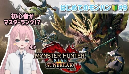 【モンスターハンターライズ / サンブレイク】 ソロで行くMRクエスト！！