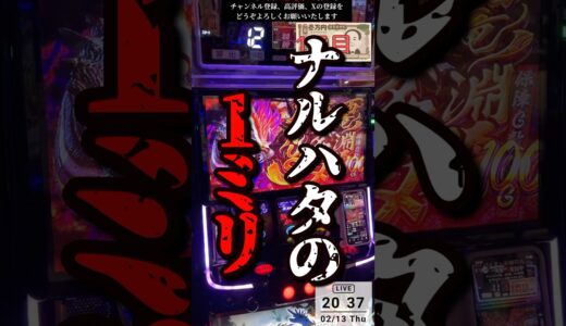 ナルハタタヒメと死闘を繰り広げた結果【スマスロ モンハンRISE LIVE切り抜き】