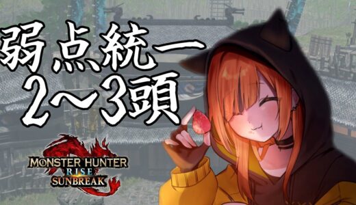 最終手段でよろ！なんですってよ　モンハンライズサンブレイク【Switch版】