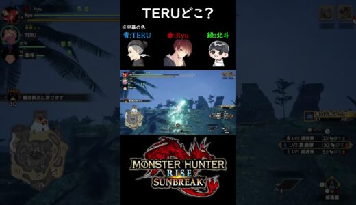 TERUどこ？　#shorts #モンスターハンターライズサンブレイク  #モンハン
