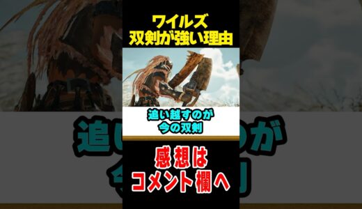 【モンハンワイルズ】双剣が強い理由徹底解説！#なべぞー #モンハン #解説