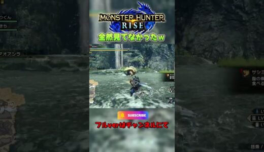 さよならアオアシラ #生配信 #ゲーム #モンハン #モンスターハンターライズ #サンブレイク