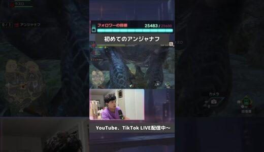 【モンハンライズ】初めてアンジャヤフに遭遇！