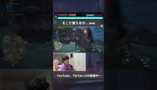 【モンハンライズ】せっかく気絶させたのに…