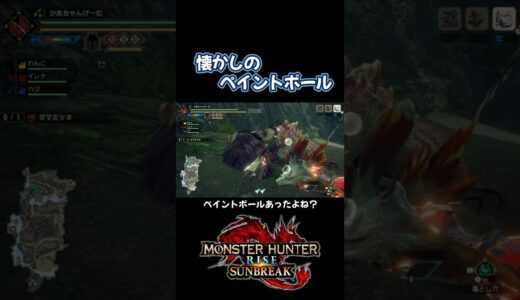 弱ったら点滅だった…懐かしのペイントボール！【モンハンライズサンブレイク】