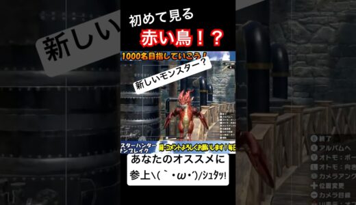 新種のモンスター？？ #モンハン #モンハンライズ #ゲーム実況 #サンブレイク