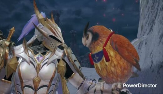 ぼーっとしました。【モンハンライズ】