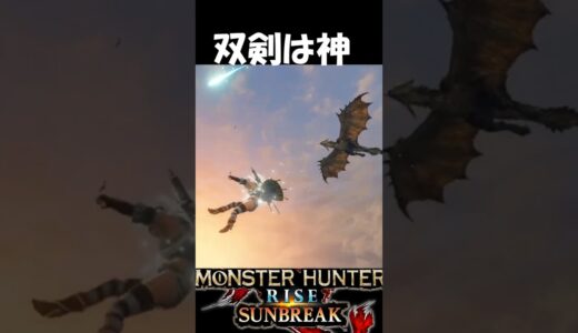 10秒で分かる双剣のヤバさ　　　　　　　【モンハンサンブレイク】【MHR:SB】魅せプ　#shorts