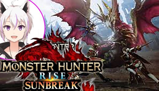 ♯13【モンハンライズサンブレイク】はじめからやる(初見ソロ)
