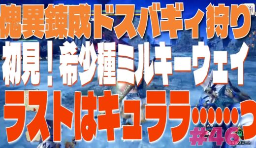 【ソロ】【初見】【太刀】モンスターハンターライズ　サンブレイク　#46　武器のカイイレンセイ！のための素材？！
