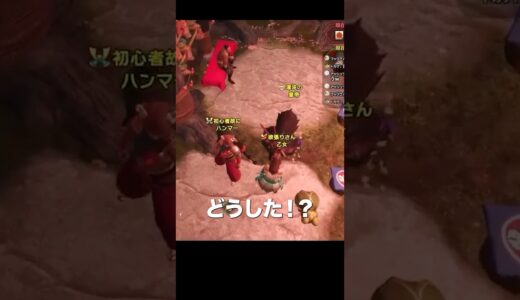 【MHライズ】ファッションショーで謎の儀式!? リスナーさんの自由度が限界突破ｗ 毎週土曜🍤 #参加型 #ゲーム実況