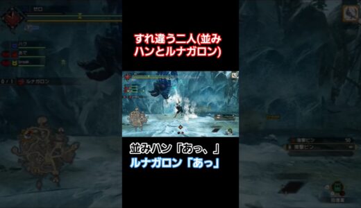 【MHR:サンブレイク】すれ違う二人(並みハンとルナガロン)【ターゲットカメラあり】