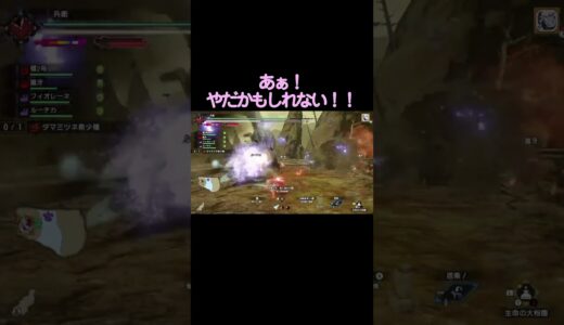 その猛攻全部嫌かも【MHR:SB/モンスターハンターライズサンブレイク】