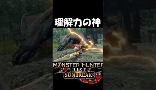 ナルガへの理解がえぐいハンター　　　　　　　　【モンハンサンブレイク】【MHR:SB】魅せプ　#shorts