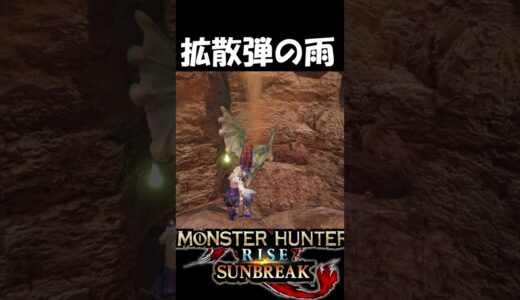 これはひどい拡散弾の雨　　　　　　　　【モンハンサンブレイク】【MHR:SB】魅せプ　#shorts